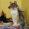 Отзыв от Алиса Винокурова
